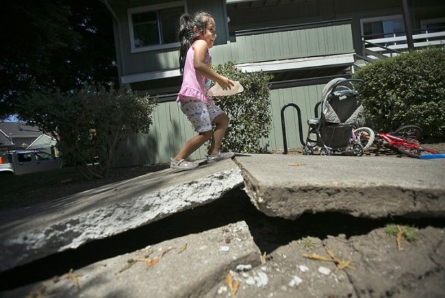 Землетрясение в Америке