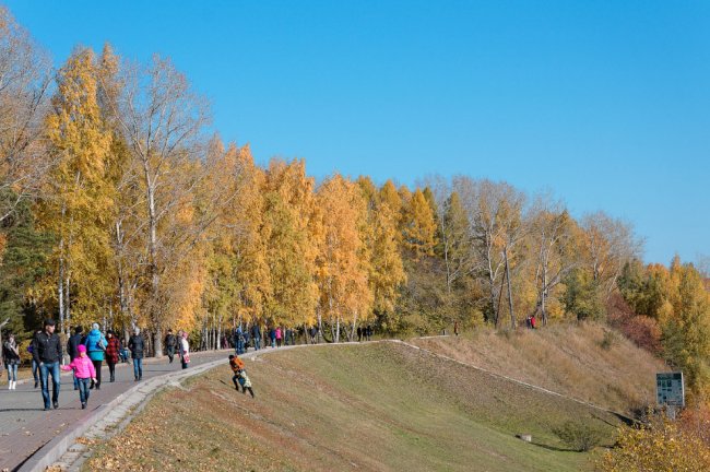 Осень на берегу реки Томь