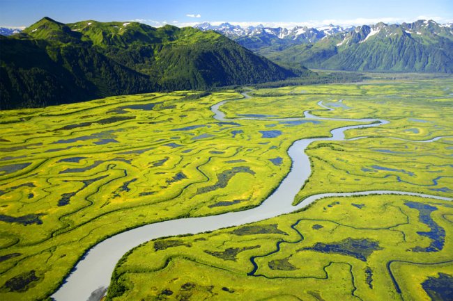 Удивительные фотографии дикой природы Аляски