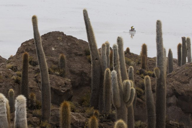 Ралли Дакар 2015: гонка в пустыне