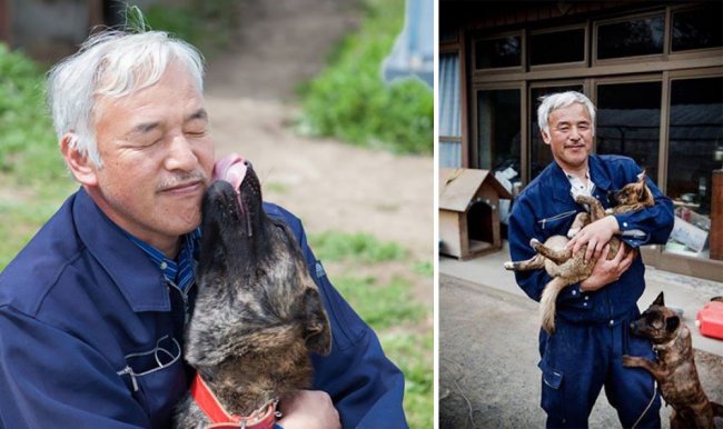 Японец живет в зоне отчуждения ради животных