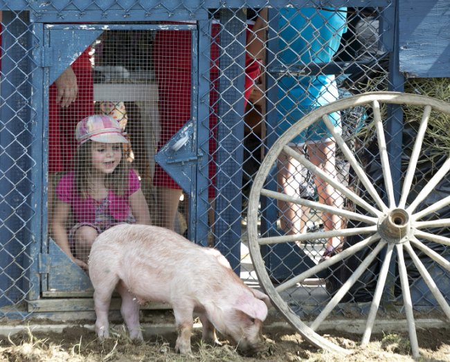 Свинский фестиваль в Квебеке
