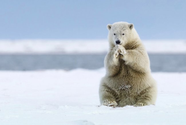 Конкурс фотографий National Geographic Traveler 2016. Часть 2