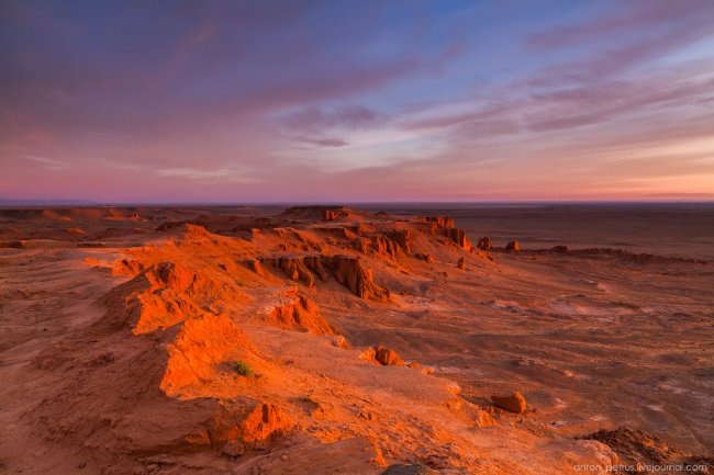 Пылающие скалы Баянзаг в пустыне Гоби