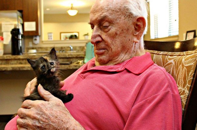 Дом престарелых, где заботятся и о пожилых людях, и о брошенных животных