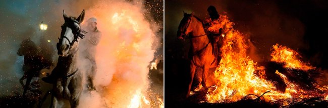 «Купание коней в огне» в день Святого Антония в Испании