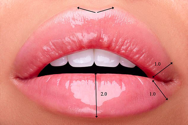 Как выглядят идеальные женские губы?