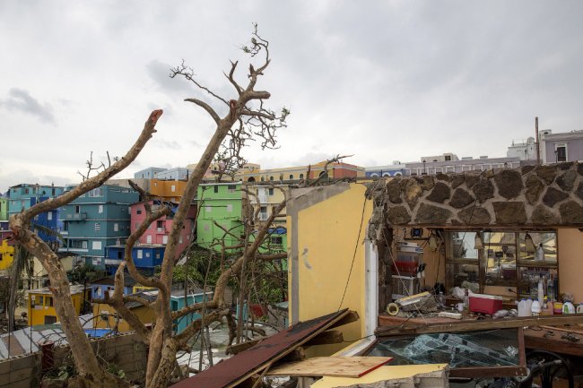 «Страна полностью разрушена»: ураган Мария