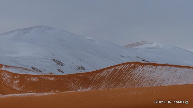 В пустыне Сахара выпал снег. Опять