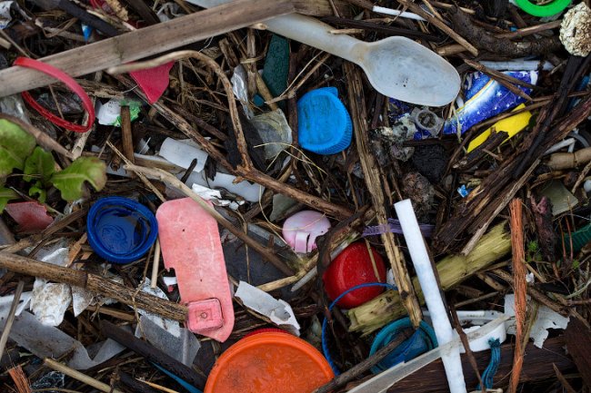 Пластиковое побережье Темзы в Англии