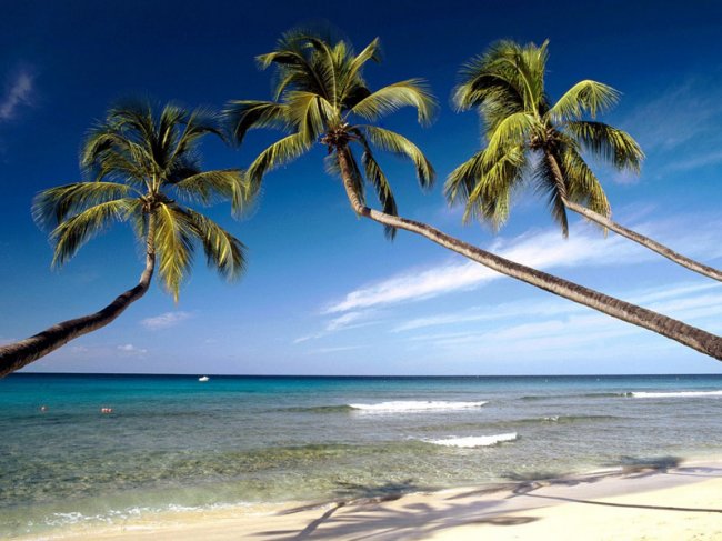 Барбадос. Рай под пальмами