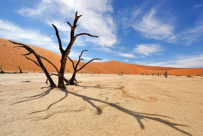 Мертвая долина в пустыне Намиб