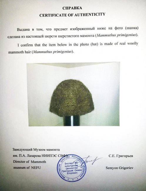 Житель Якутска продает единственную в мире шапку из шерсти мамонта