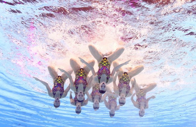 Чемпионат мира по водным видам спорта 2019 года: Акватика-2019
