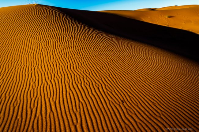 Пески времени или прогулка по пустыне Сахара