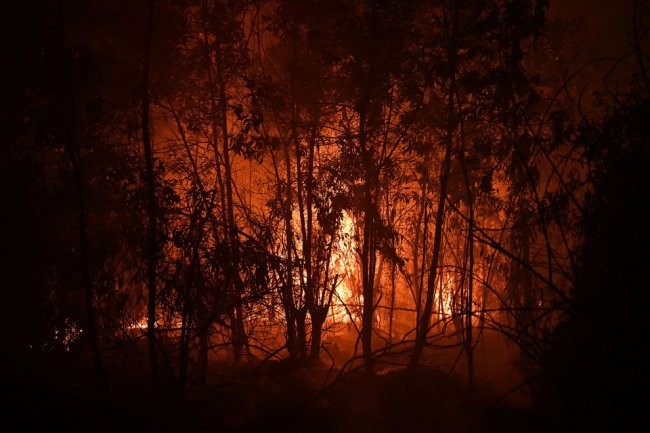 Пожары в Индонезии 2019