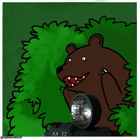 Медведь в кустах гифки, гиф, gif, анимации