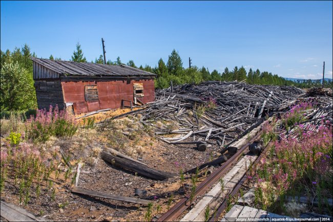 Полузаброшенная советская лесозаготовка в Забайкалье