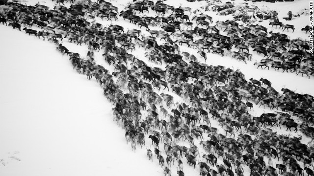 Лапландия в фотографиях Роджера Мауказеля
