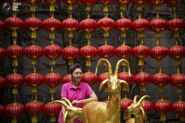 Как отпраздновали Китайский Новый год 2015