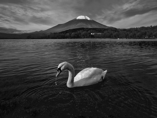 Лучшие фотографии National Geographic в апреле 2015 года