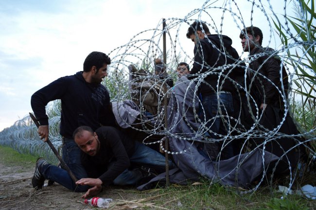 Приключения мигрантов в Европе