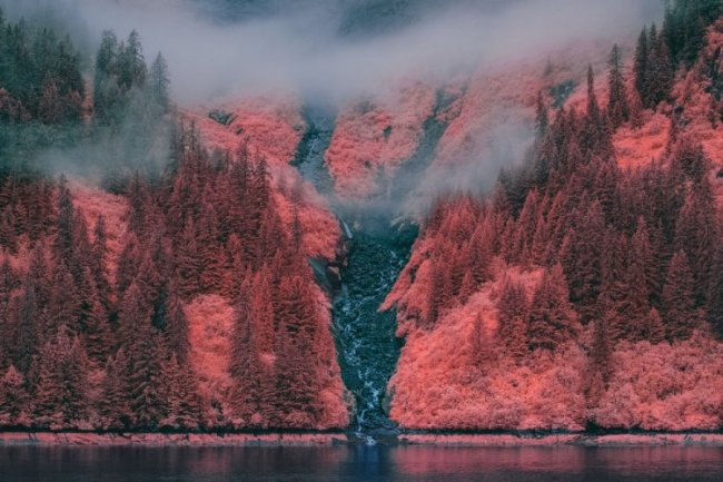 Инфракрасные фотографии природы