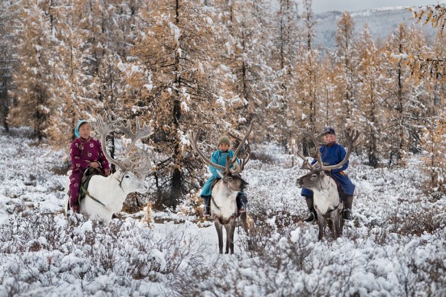 Один день из жизни монгольской семьи оленеводов
