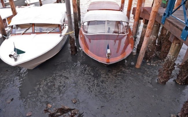 Аномалия в Венеции: знаменитые каналы остались без воды