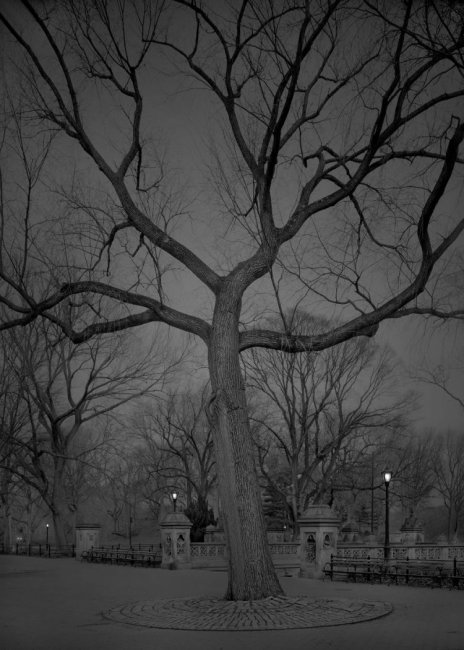 Центральный парк Нью-Йорка «В глубоком сне»