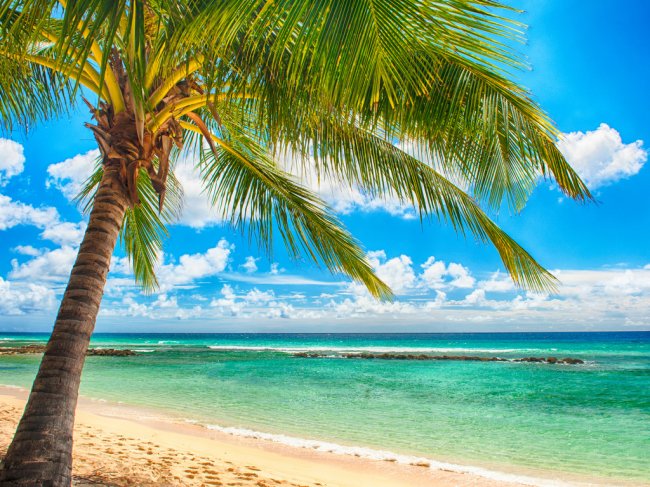 Барбадос. Рай под пальмами