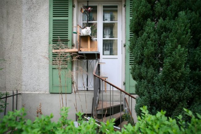 Странный феномен кошачьих лестниц в Швейцарии